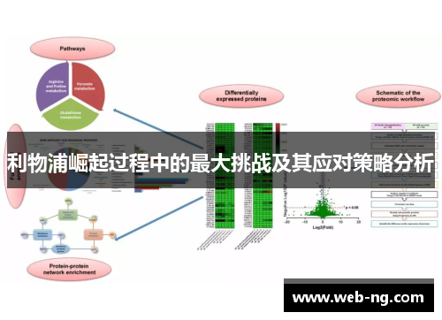 利物浦崛起过程中的最大挑战及其应对策略分析