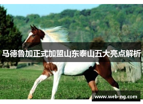 马德鲁加正式加盟山东泰山五大亮点解析