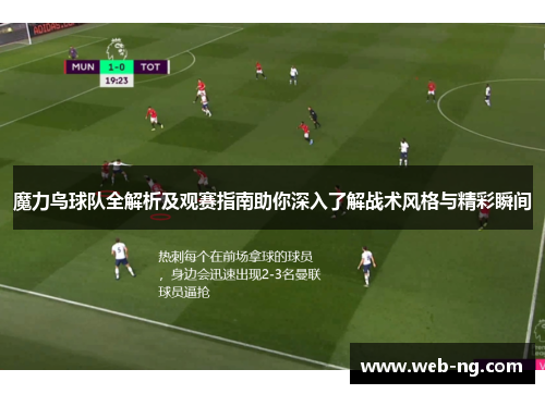 魔力鸟球队全解析及观赛指南助你深入了解战术风格与精彩瞬间